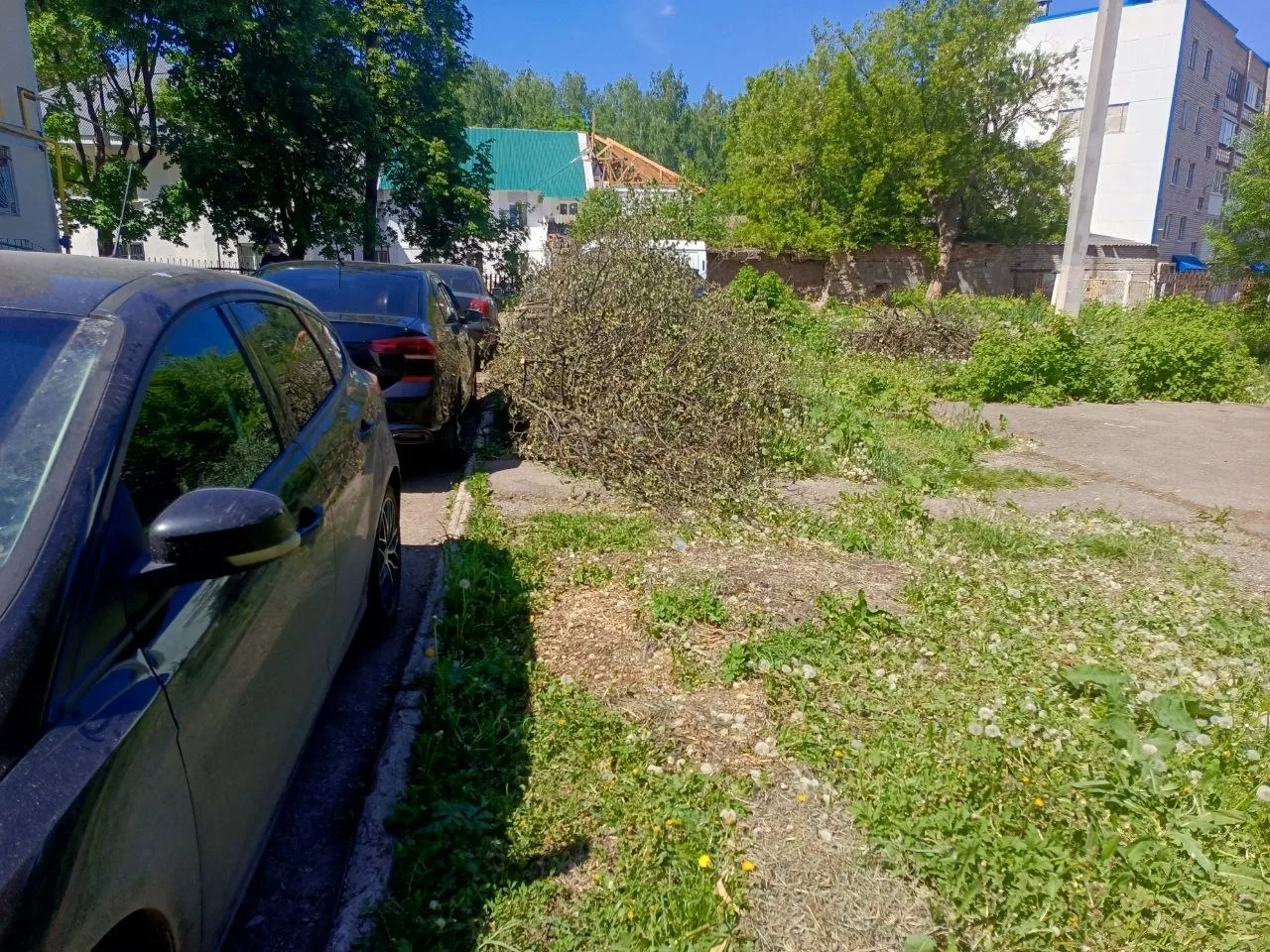 🌳 Спиленные деревья до сих пор не убрали  В Лениногорске возле дома №22 по улице Куйбышева около дву