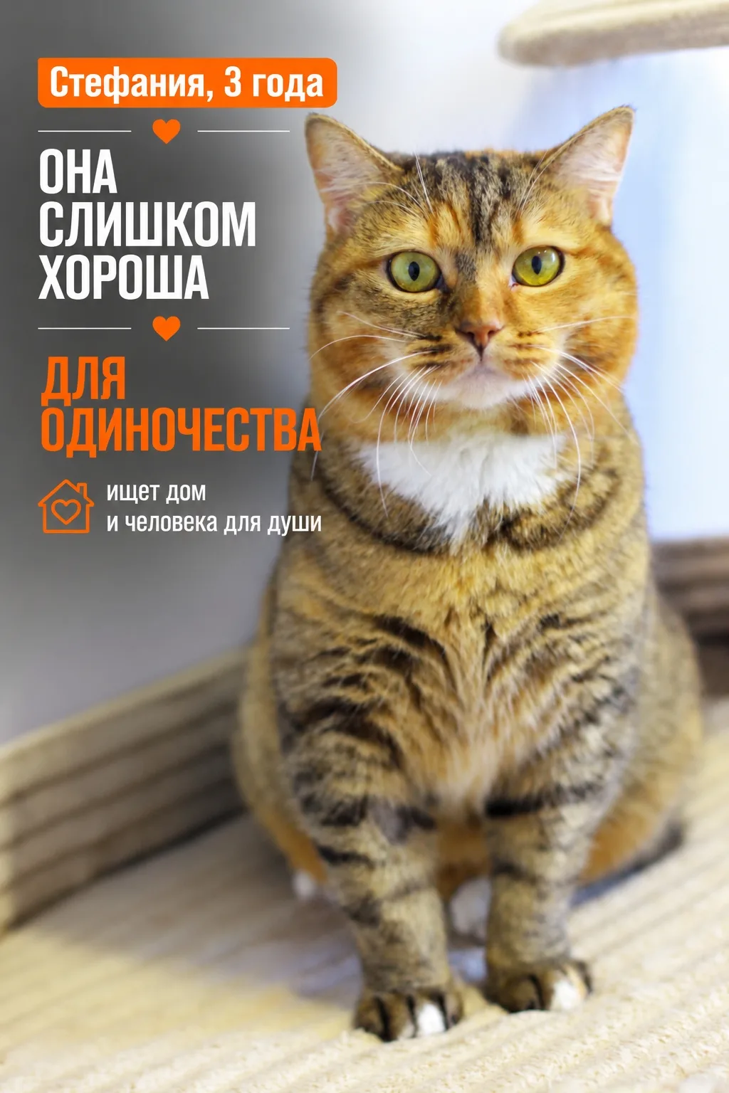 Стефания совершенно не понимает людей.