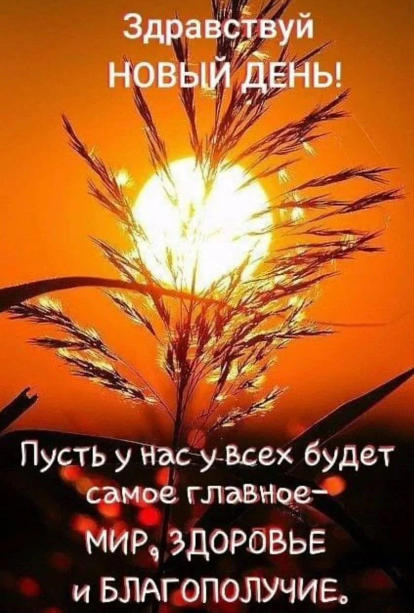 Доброе утро ❤️ сегодня мой вес 101кг (минус 900гр)