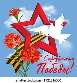 Сегодня наша торжественна церемония спуска государственного флага Российской Федерации, посвящена Дн