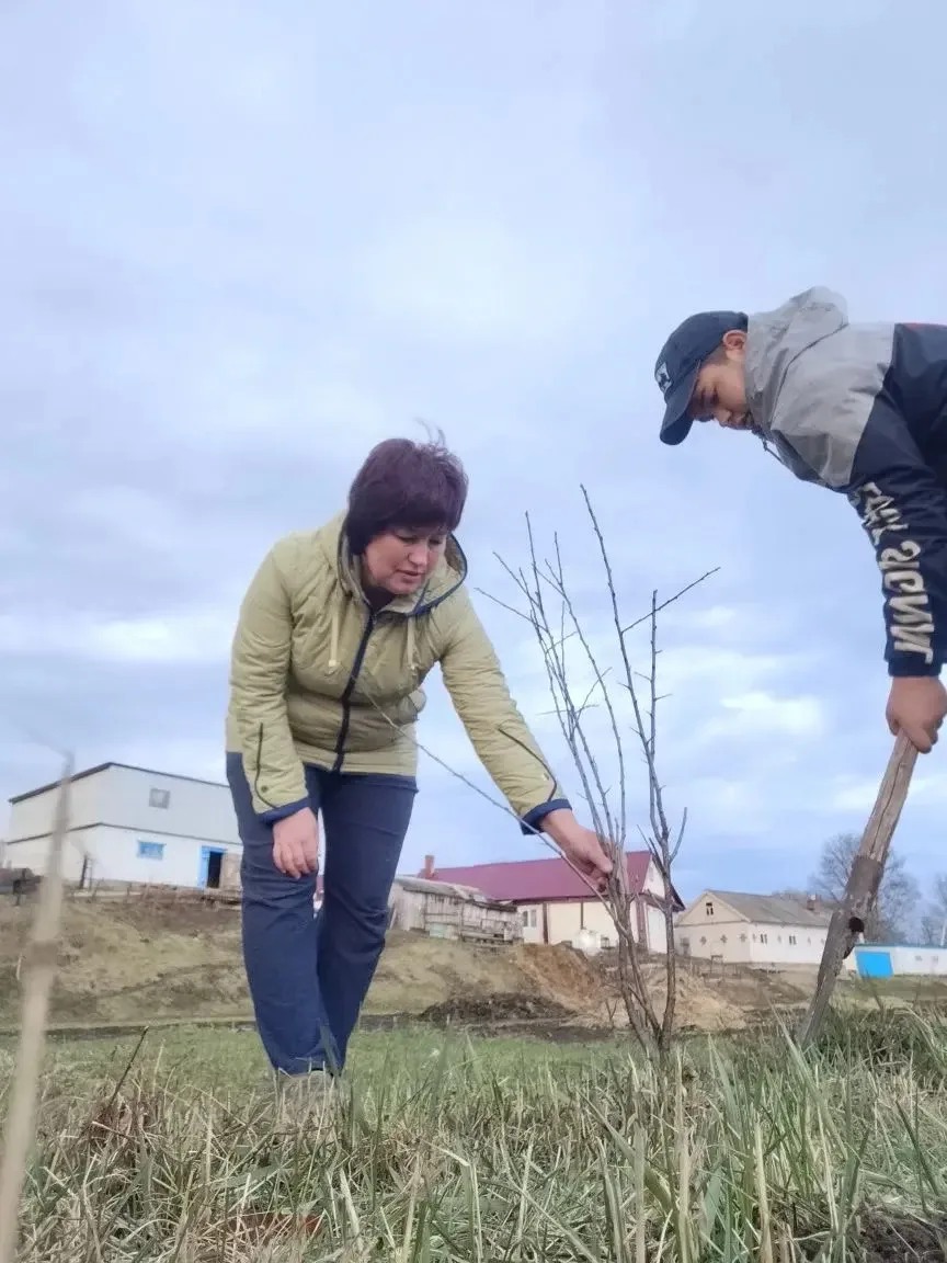 Мәктәп коллективы, укучылар агач утырту эшендә катнаштылар.