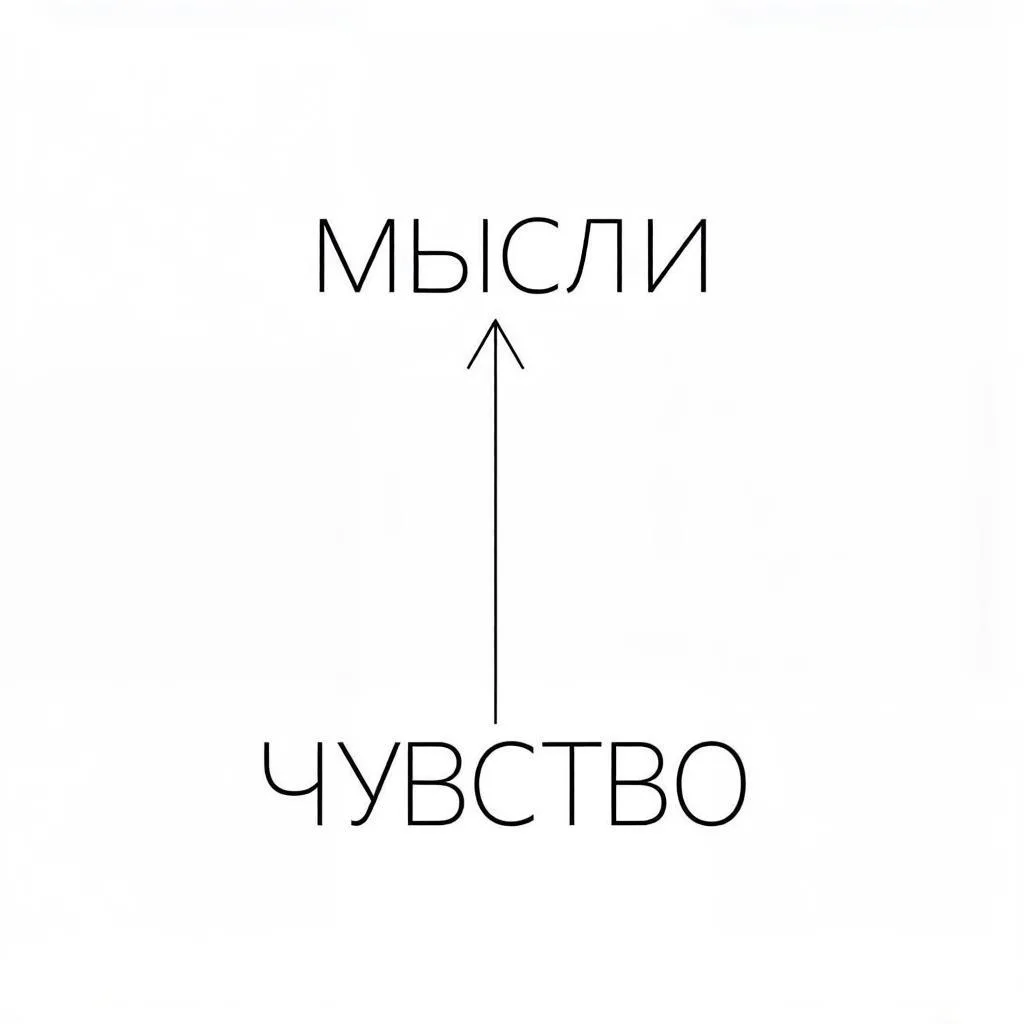 Без картинки