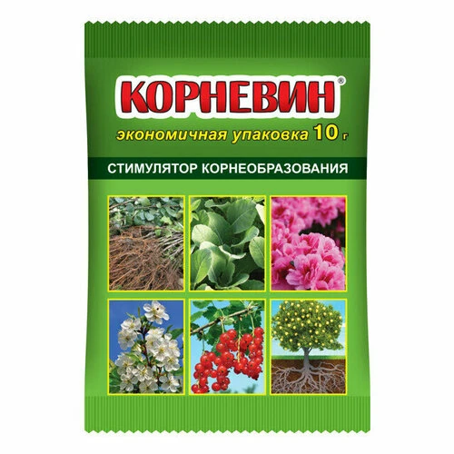 Хотите, чтобы саженцы приживались как по волшебству?

Открыла для себя стимулятор «Корневин» — и это