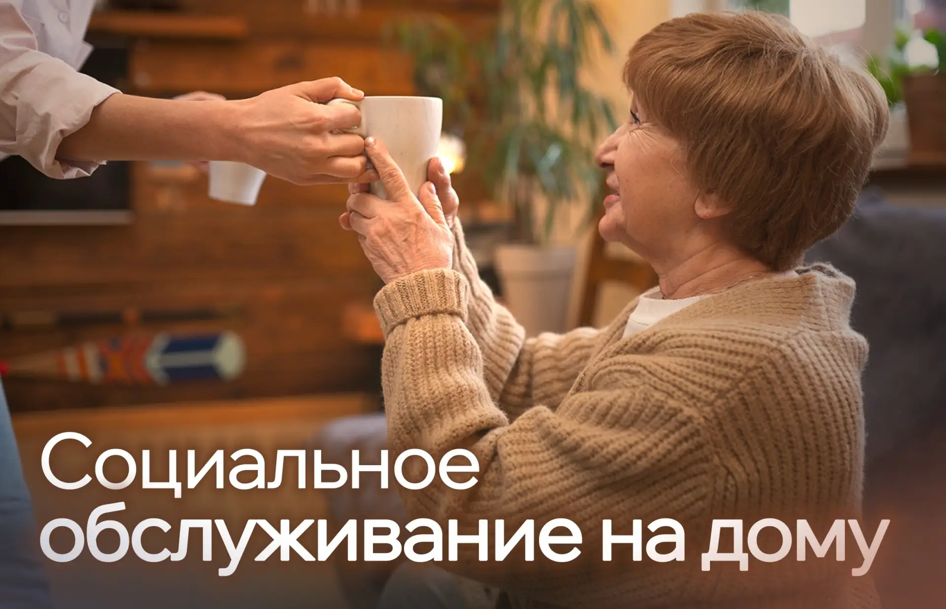 🚶‍♂️🧓 Социальное обслуживание на дому для пожилых граждан и инвалидов в Новороссийске!