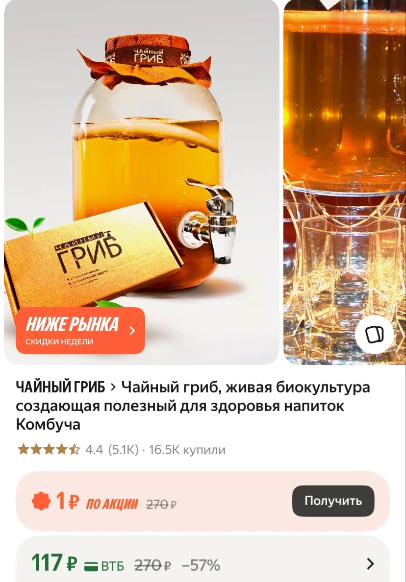Чайный гриб, живая биокультура создающая полезный для здоровья напиток Комбуча