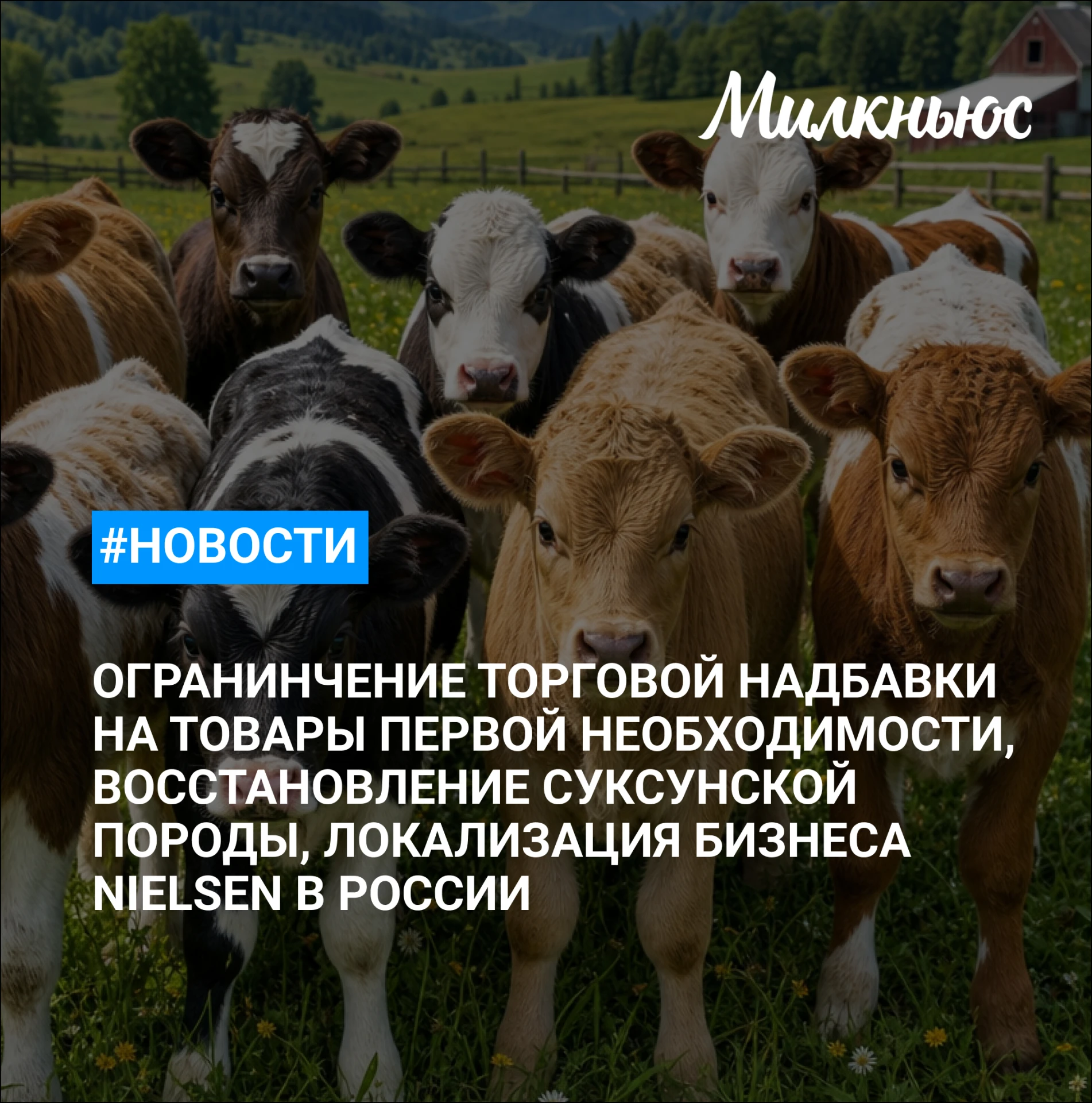🐮 Миронов предложил ФАС ограничить торговую надбавку на товары первой необходимости