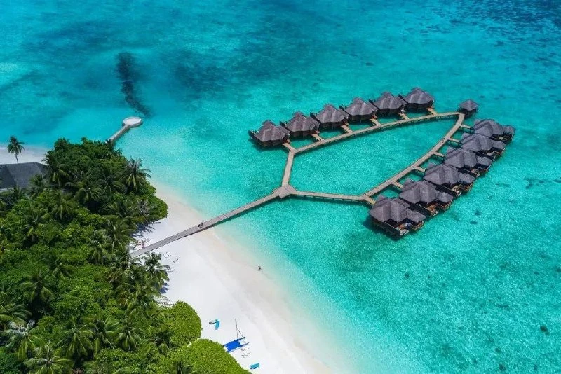 ⚡️🔥 супер горящий тур
На Мальдивы


✈️Вылет Аэрофлот 17.06 на 7 ночей

Fihalhohi Maldives 4*

🍔Пит