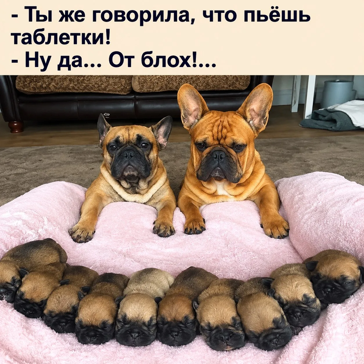 👑 Королева сарказма