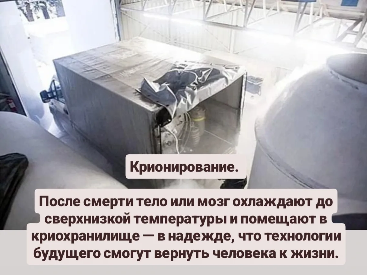 5 альтернатив традиционным похоронам, о которых вы могли не слышать.