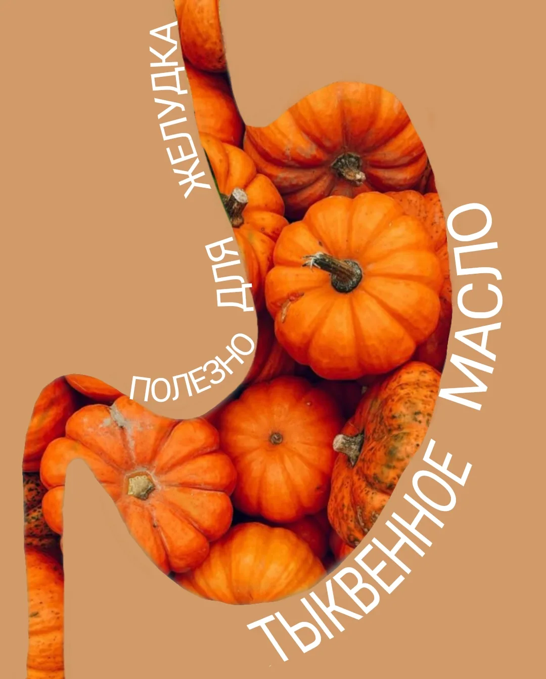 🎃Тыквенное масло холодного отжима очень полезно  для желудка. Его главная ценность зде...