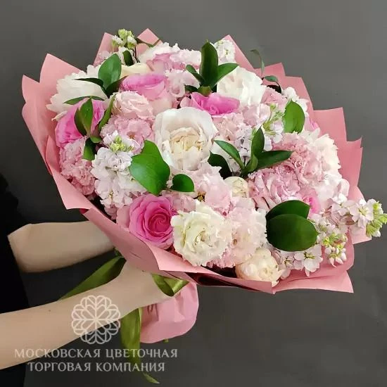 ПОСТУПЛЕНИЕ СВЕЖАЙШЕЙ МАТТИОЛЫ