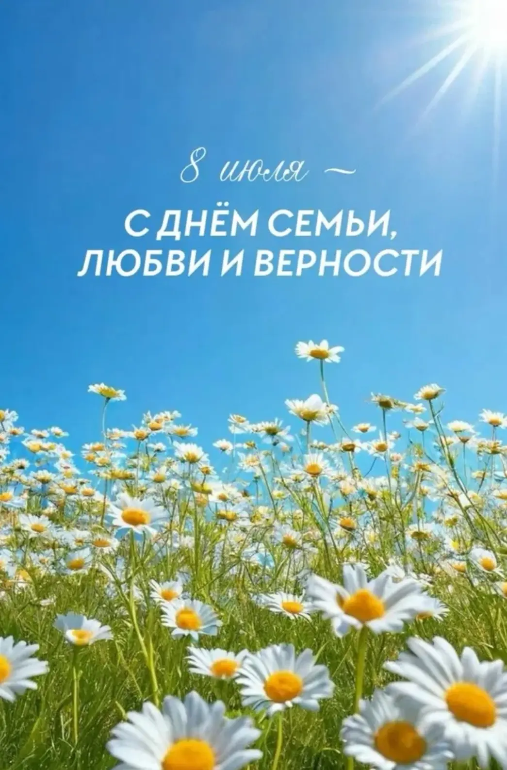 С Днём семьи, любви и верности! 💐

Ромашка — символ чистоты и нежности. Как в этом поле, каждый цве