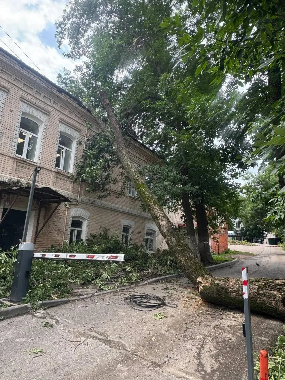 В сквере имени Маяковского упало дерево на электрические провода. 
 
Внешне оно казалось крепким, од