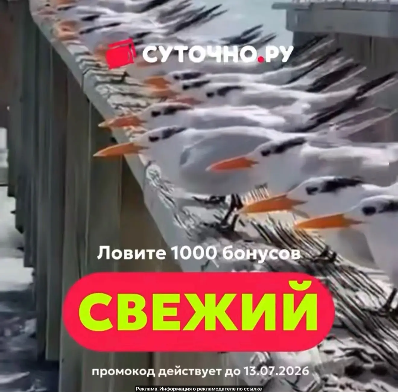 ⚡️Суточно ру — новый промокод для всех!

✅ СВЕЖИЙ — 1000 бонусов, действуют до 13.07

Активируем тут