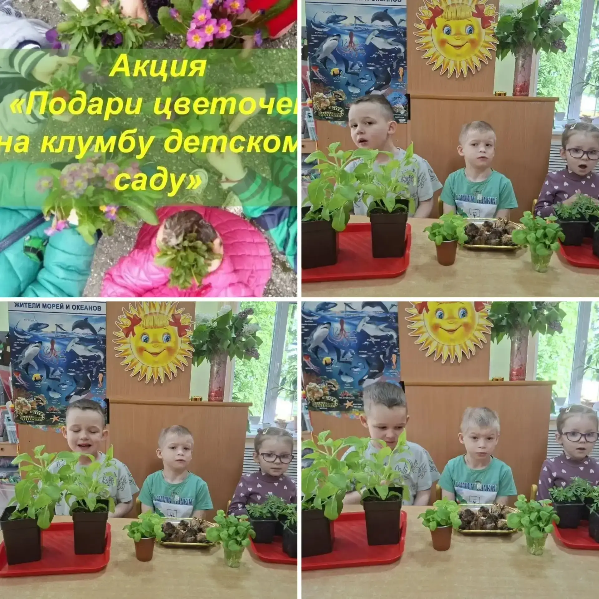 Педагоги и воспитанники группы «Пчелка» приняли активное участие в сетевой акции «Подари цветок детс
