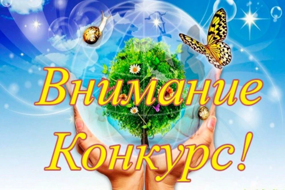 Яранский краеведческий музей объявляет конкурс "Чомга - птица 2026 года".