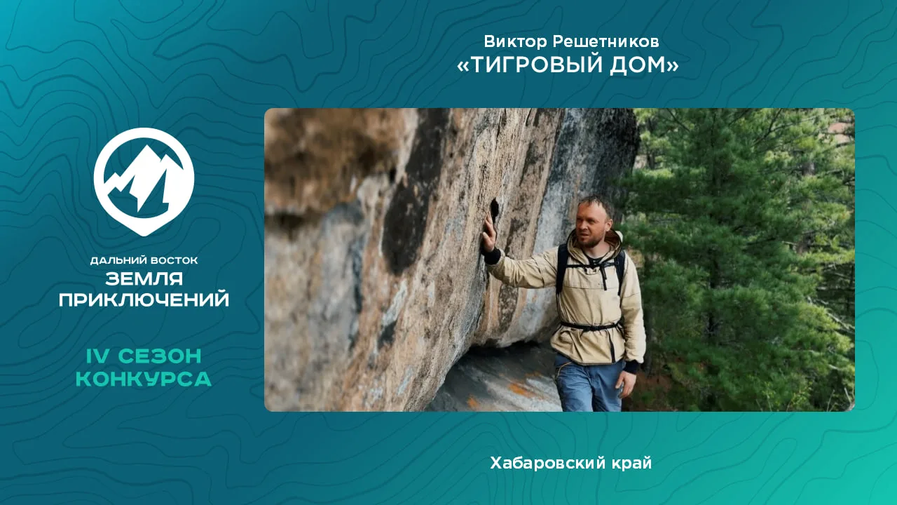 🐯 Тигровый дом