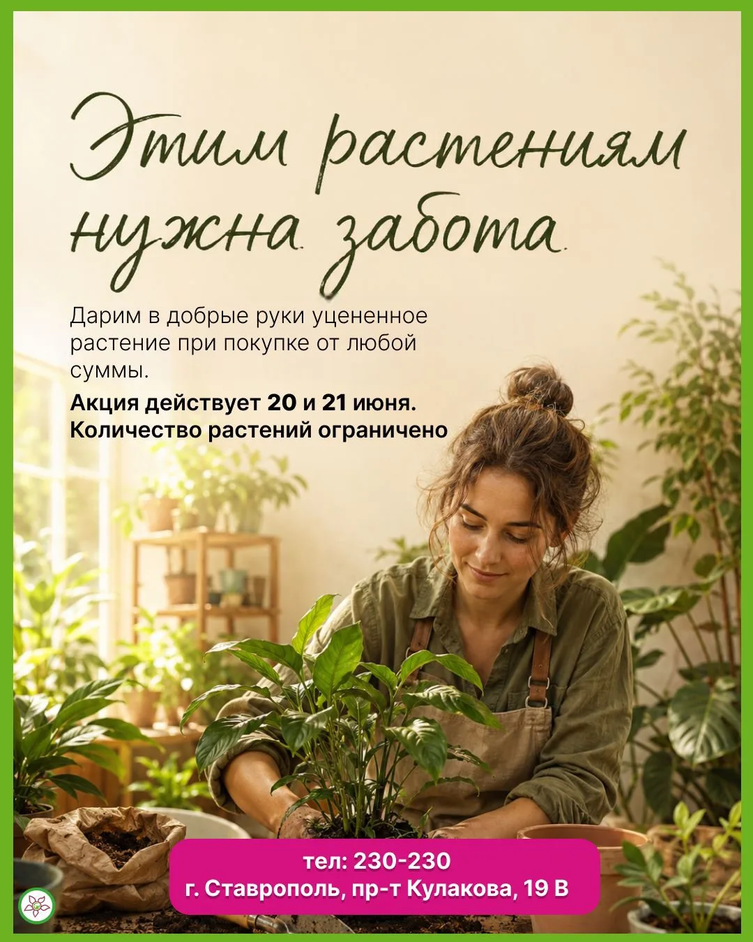 Этим растениям нужна ваша любовь! 💚