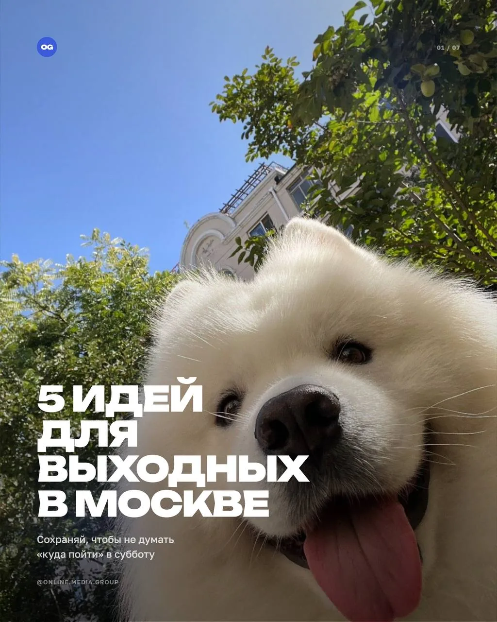 Скоро выходные, а это значит пора строить планы 💃
Тем более погода обещает быть хорошей!

Сохран