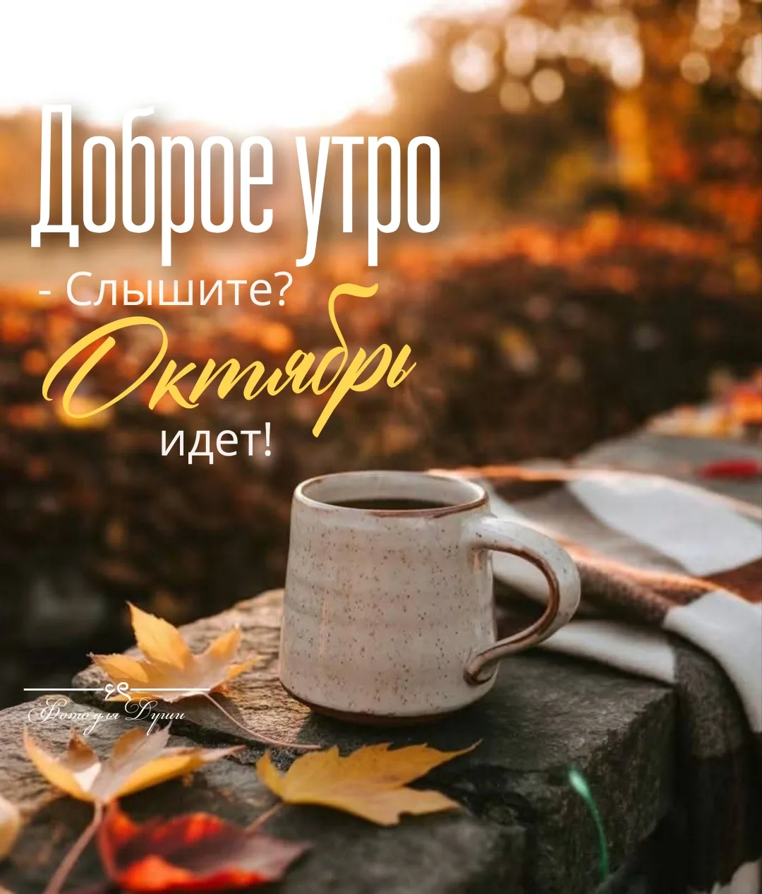 С  ДОБРЫМ  УТРОМ!