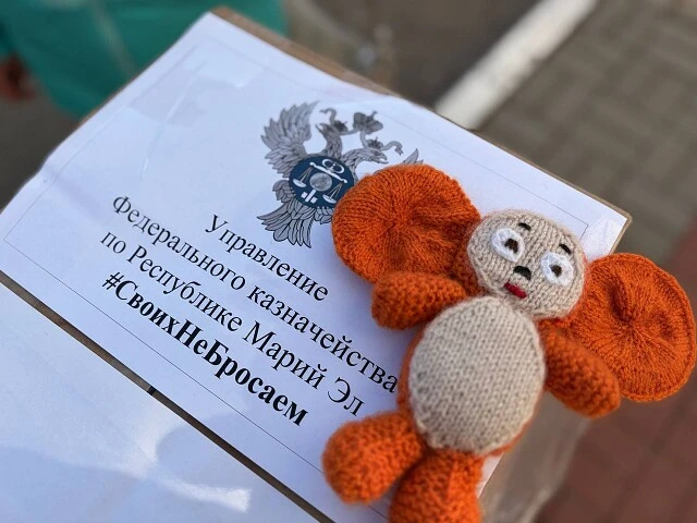 Госслужащие Марий Эл собрали для бойцов дополнительную помощь  🤝 Сотрудники Управления Федерального 