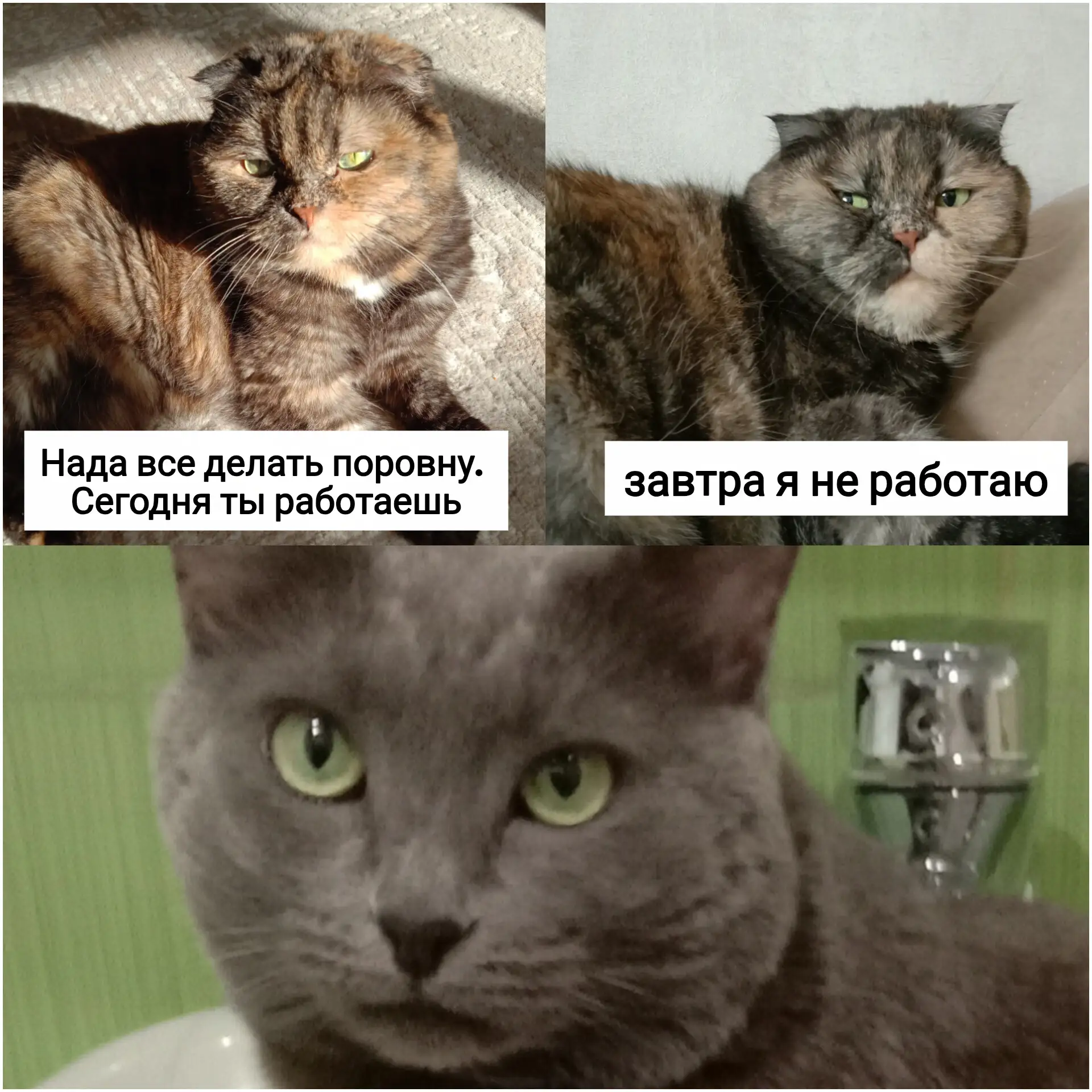 Вроде все правильно😺