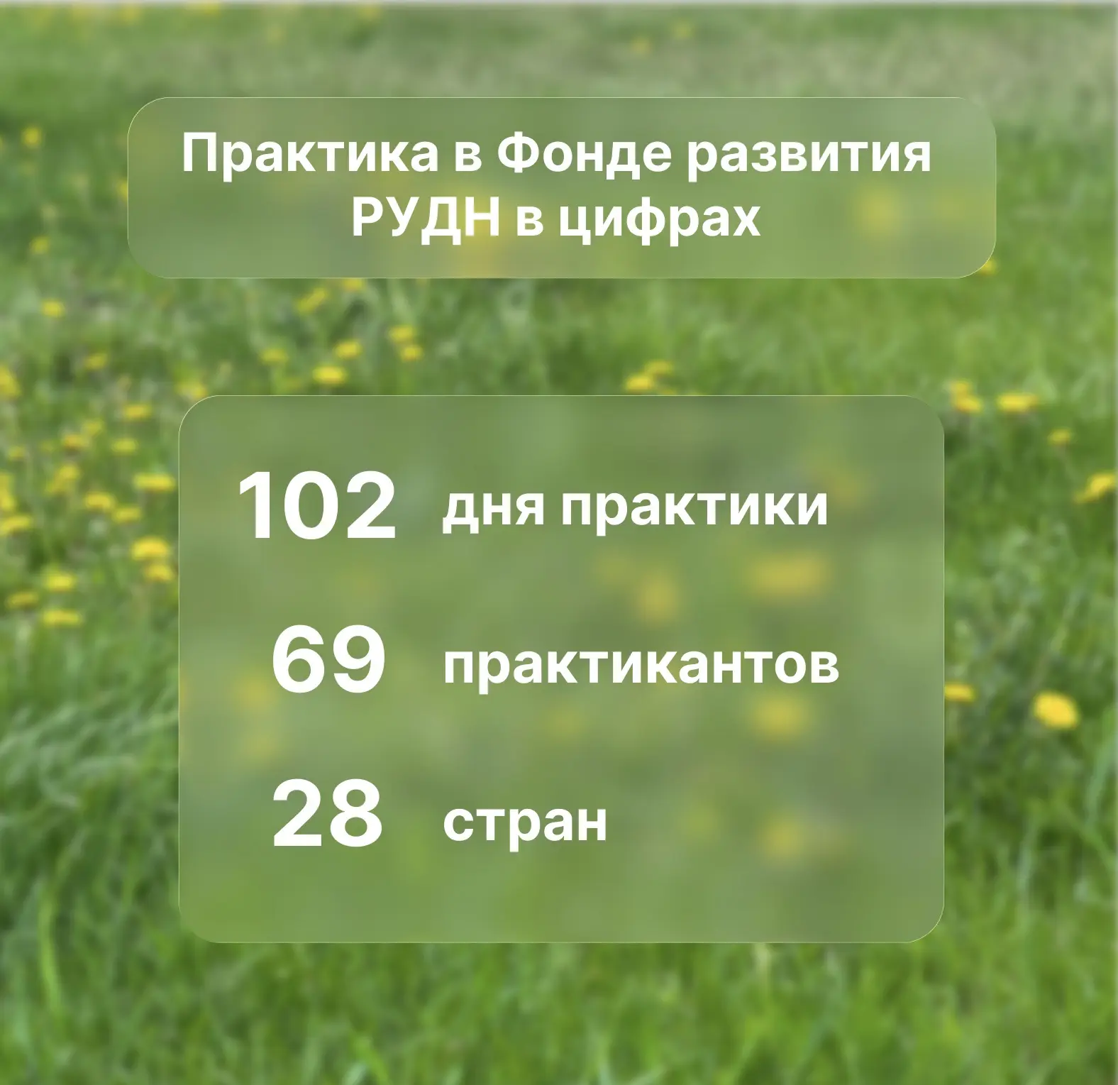 Наставничество