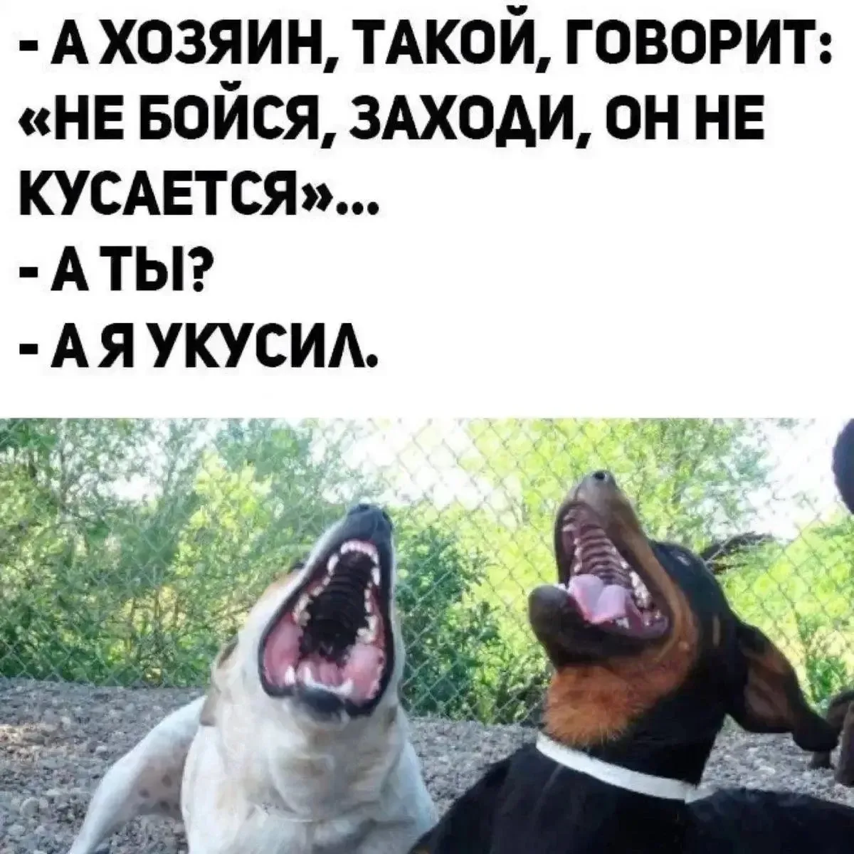 Молния ⚡Юмор