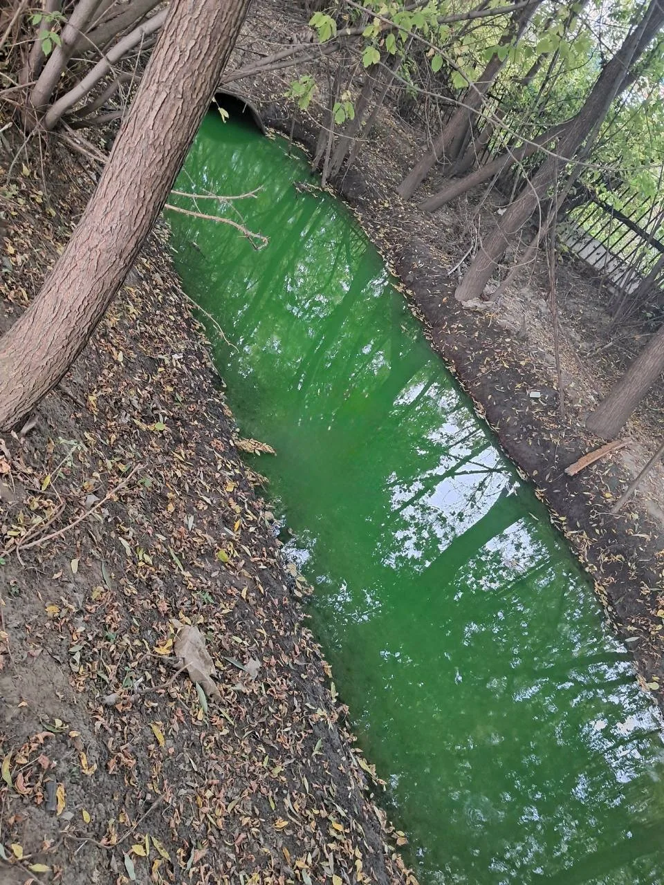 😟 Река Тулка в Новосибирске внезапно поменяла цвет
