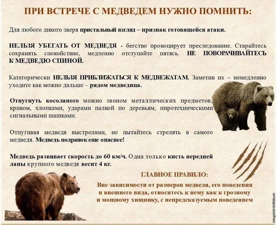 Внимание! Важная информация!
