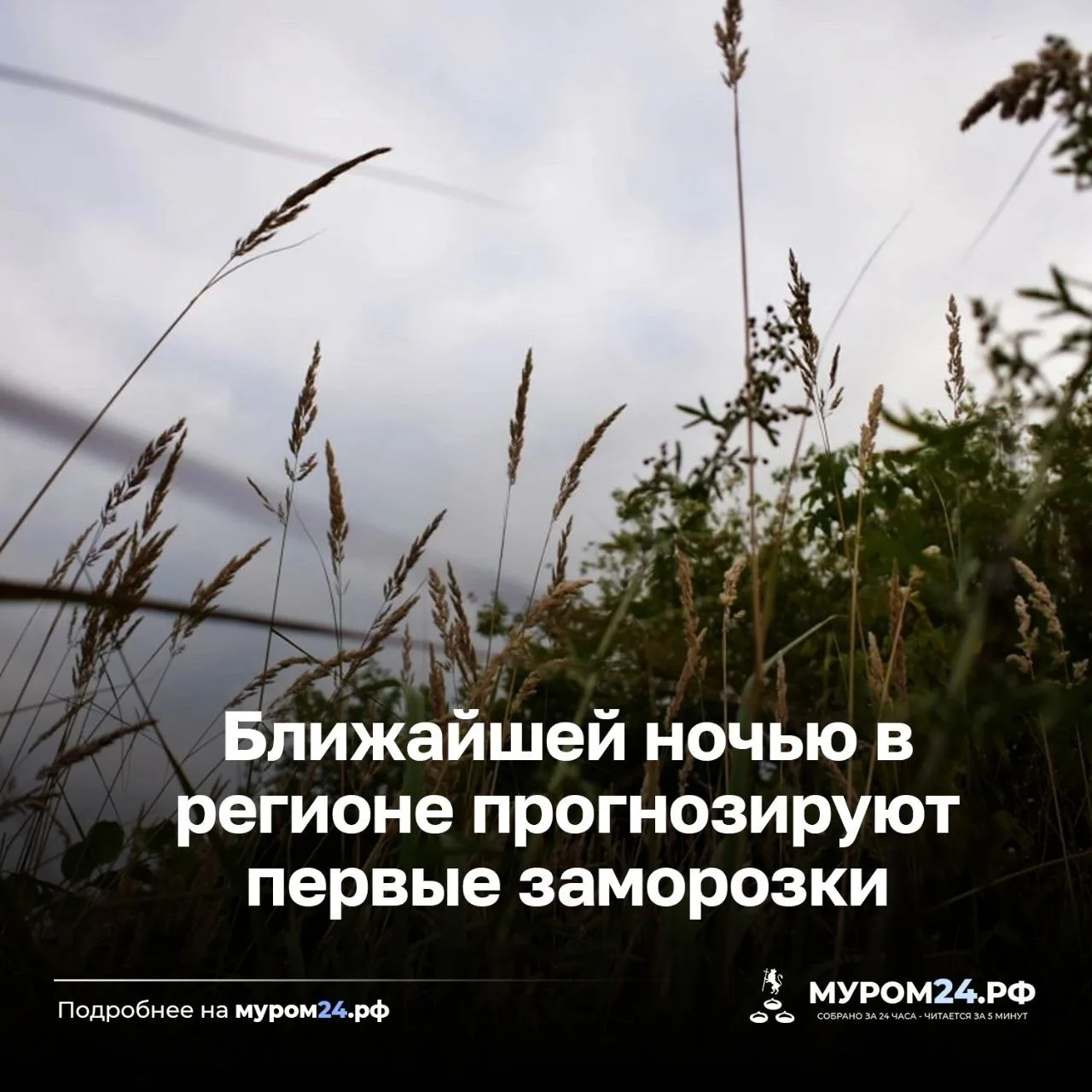 Предупреждение передает Главное управление МЧС России по Владимирской области. В ночные...