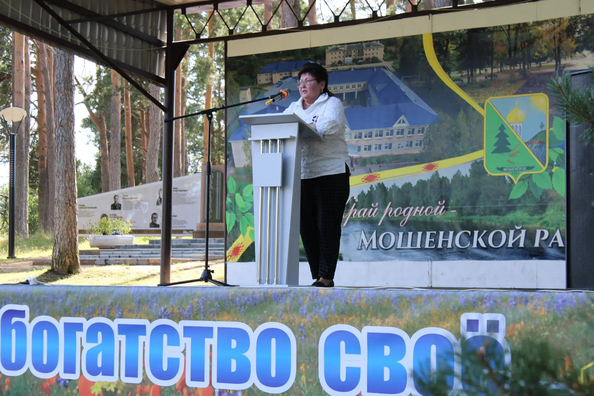 Мошенской округ встретил участников областного турслета праздником в честь Дня государс...