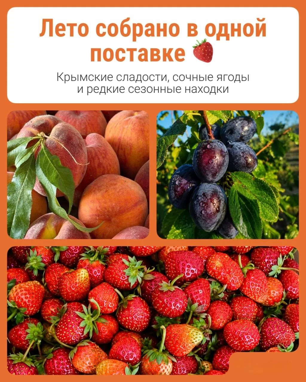 Изображение 1 к публикации «БашДТП | Bash.dtp.official»
