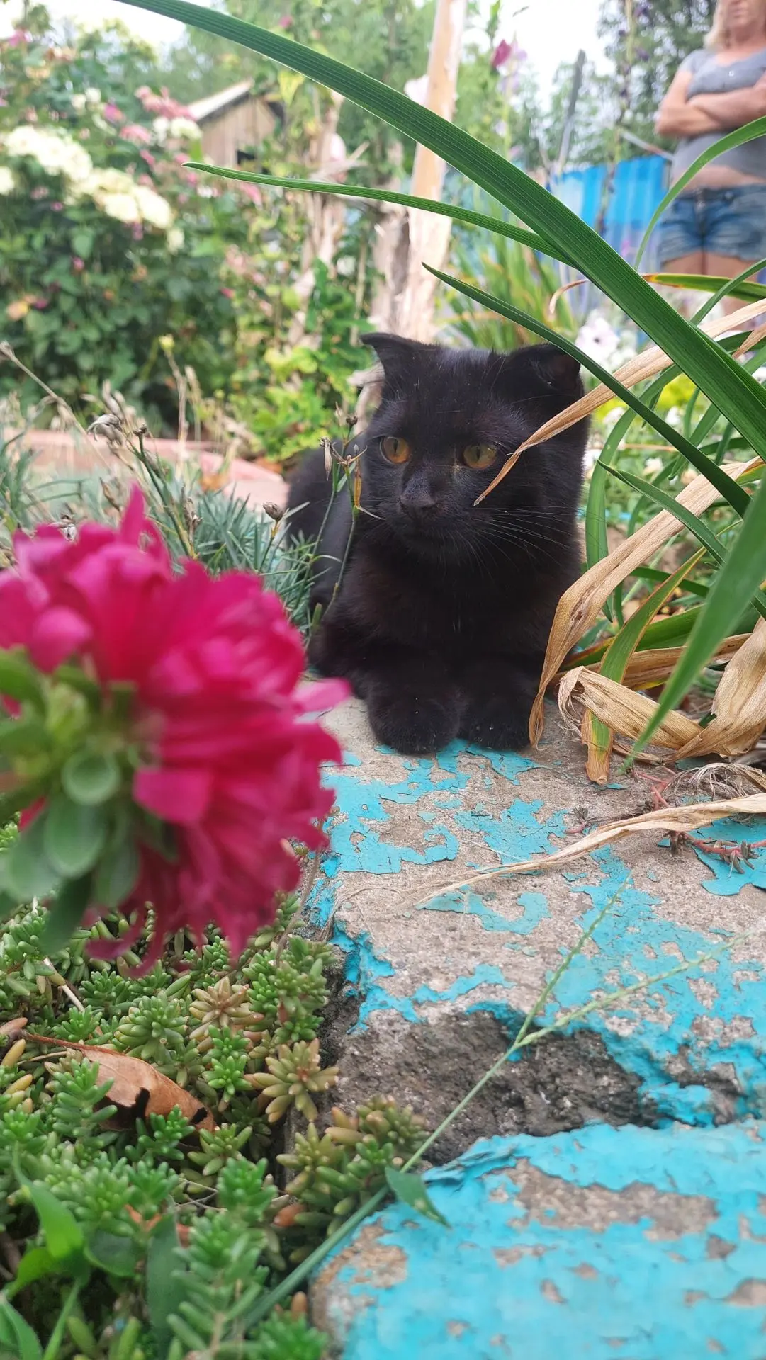 Красота природы вокруг нас🐈‍⬛