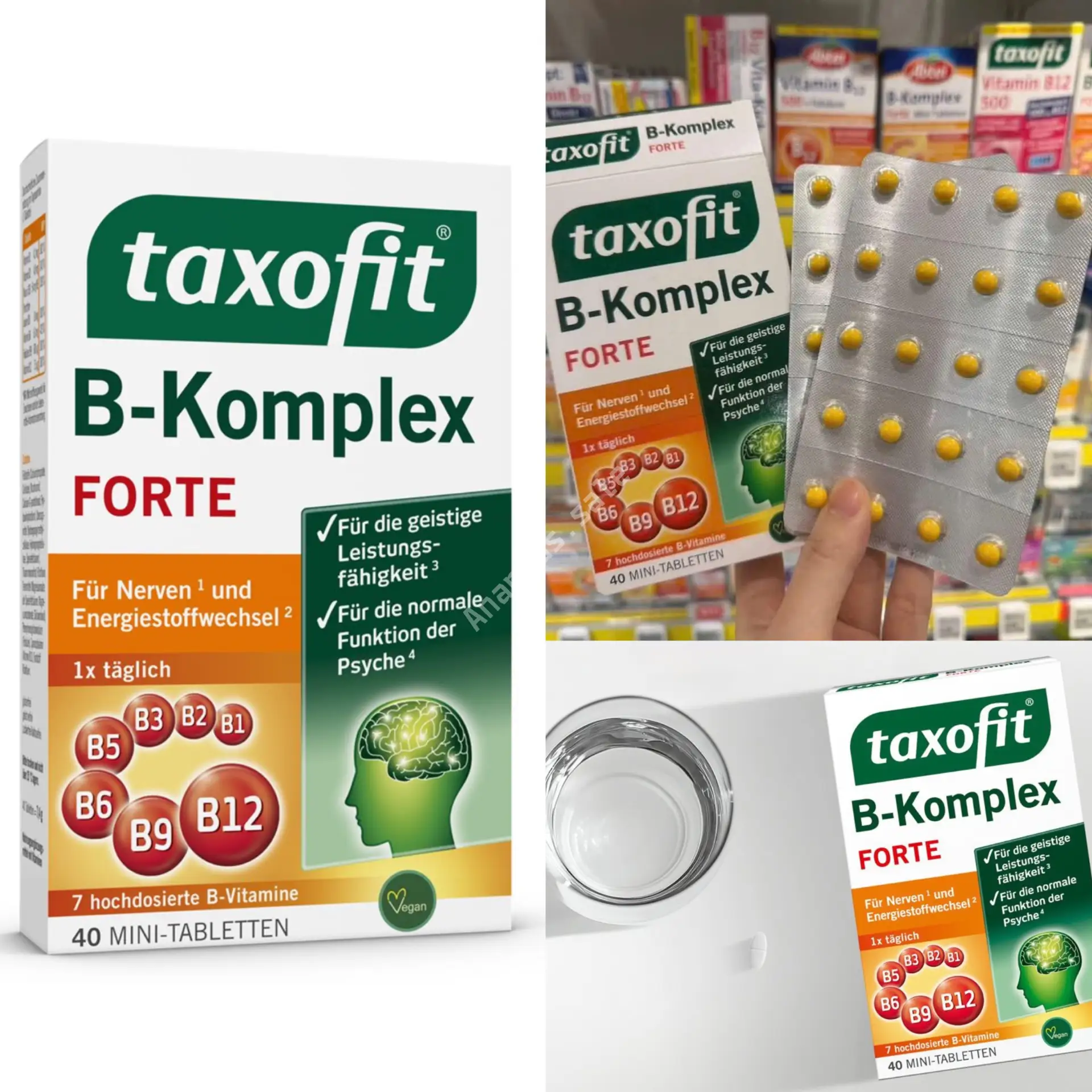 🌟taxofit🌟