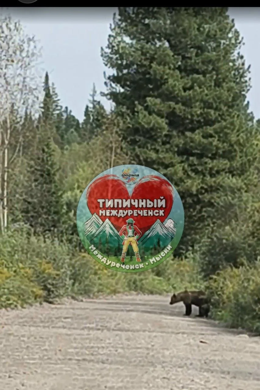 Уважаемая администрация города Междуреченск. Очень страшно посещать дачные участки, да ...