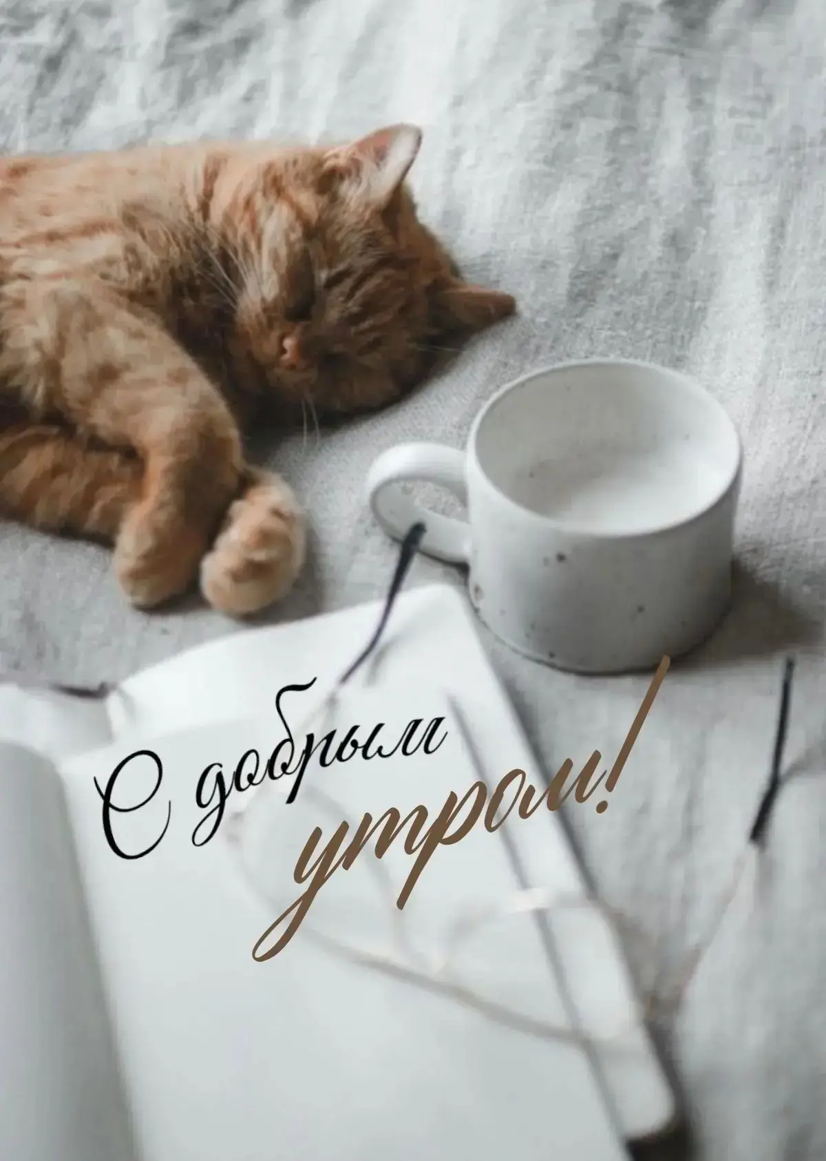 #доброеутро