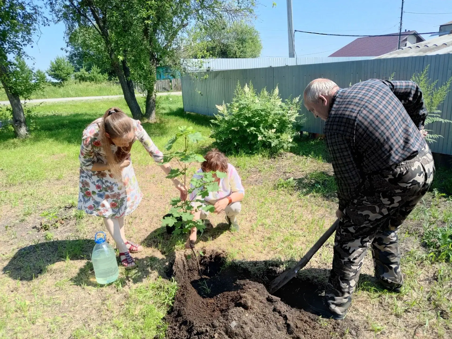 Зелёная память о войне 🌱