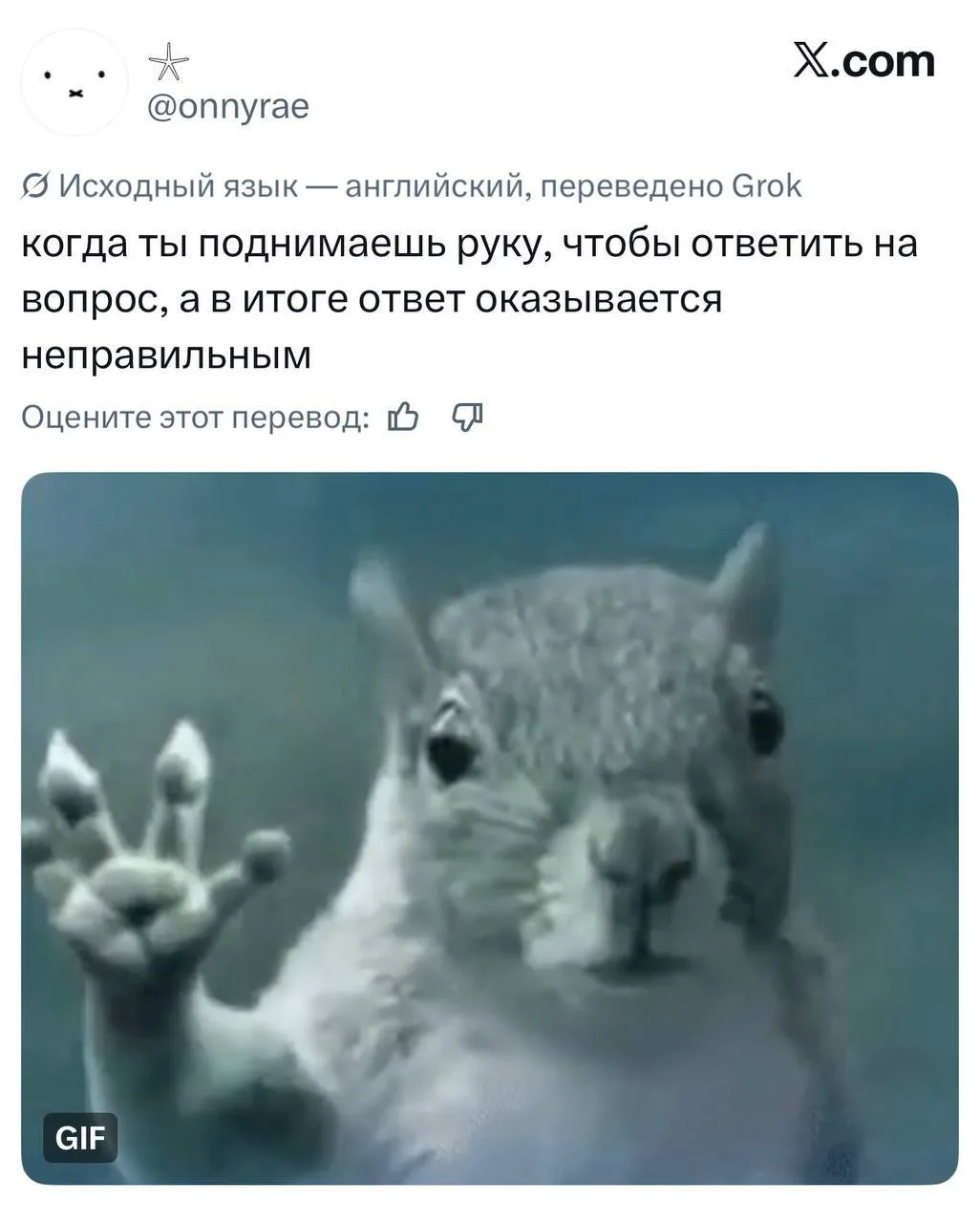 Первый день осени уже принёс нам новый вирусный мем — белку, которую утаскивает буря.