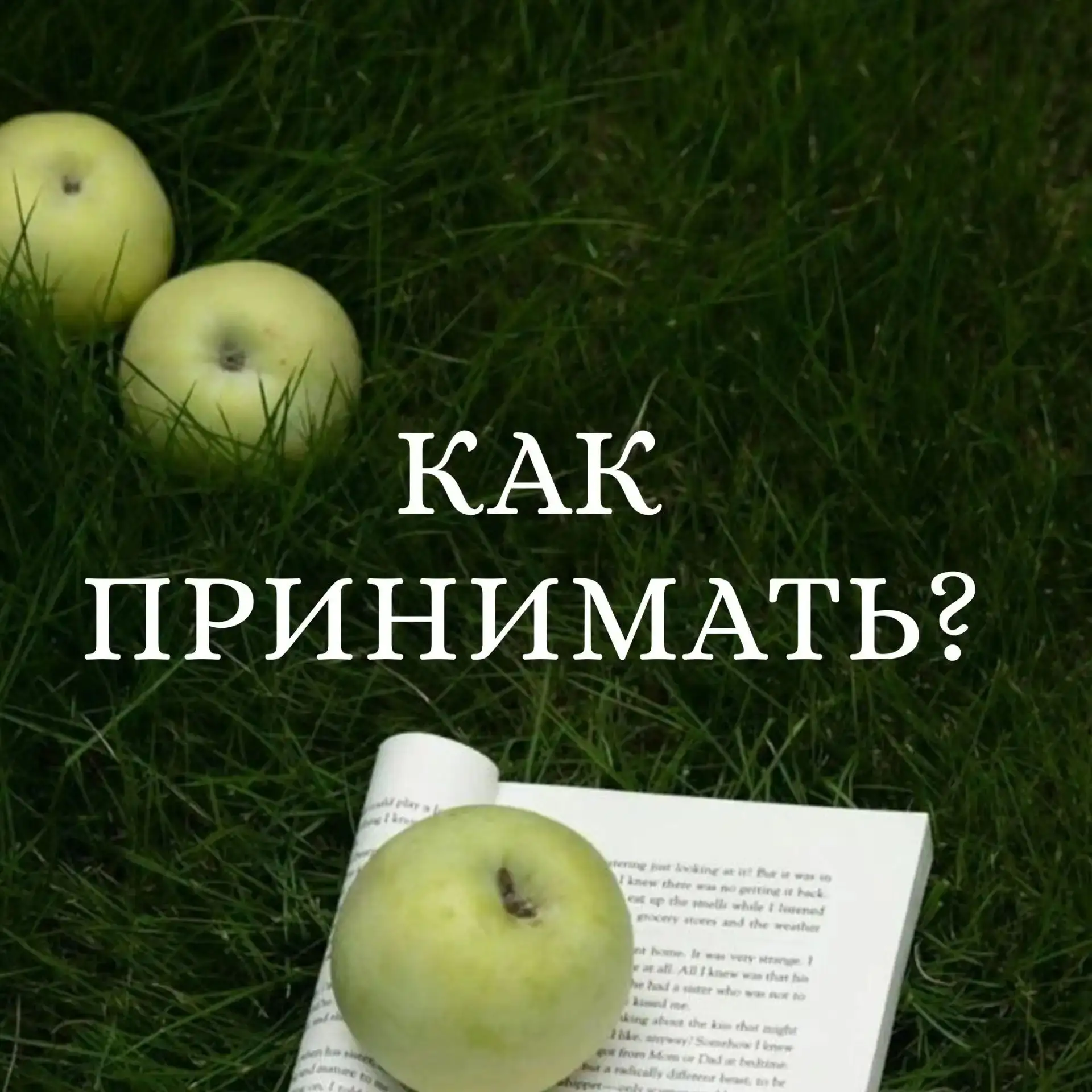 🌿 Краткая схема приёма — поддержка печени