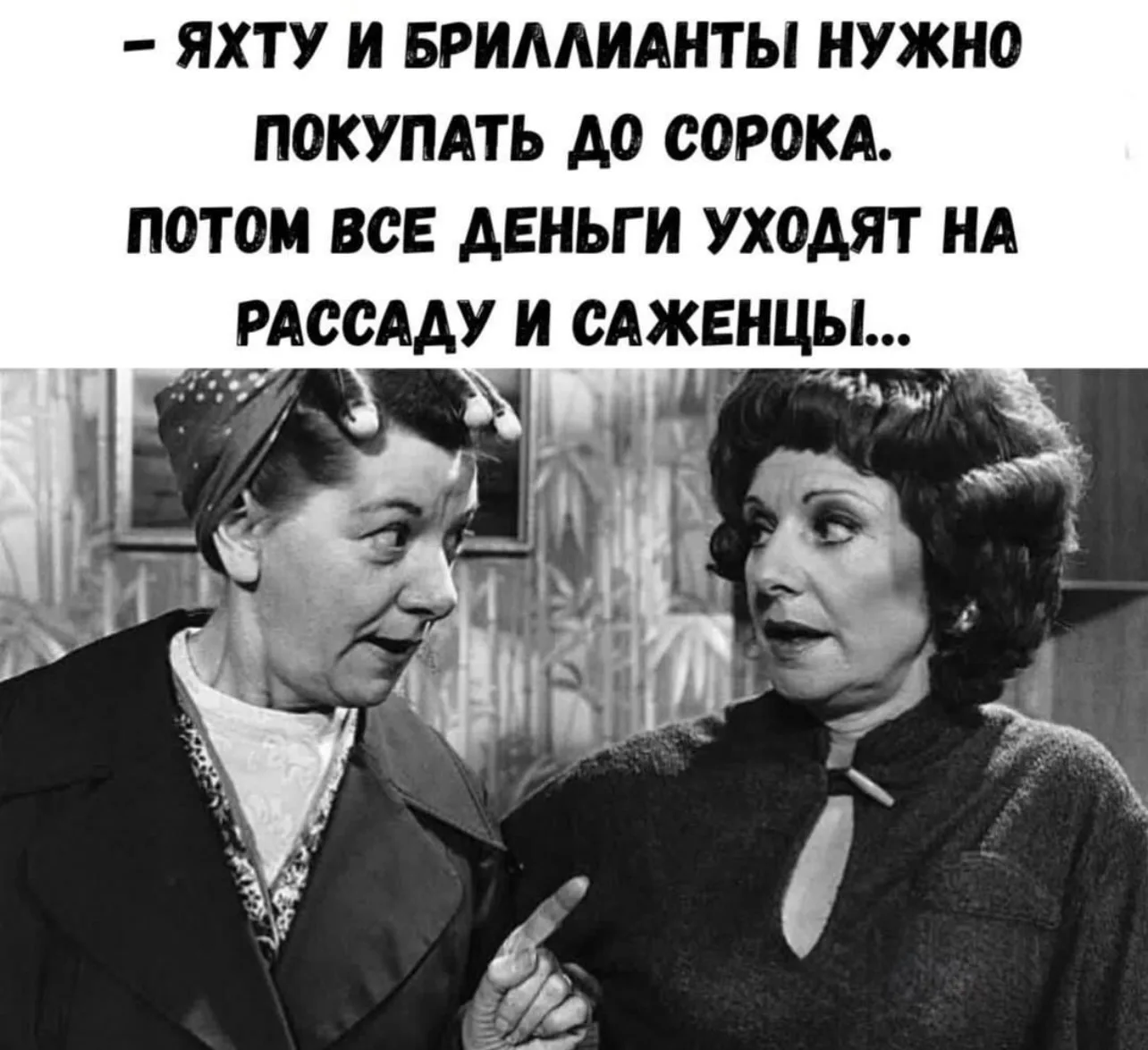 Настроение дня: Время сажать плодово-ягодные.