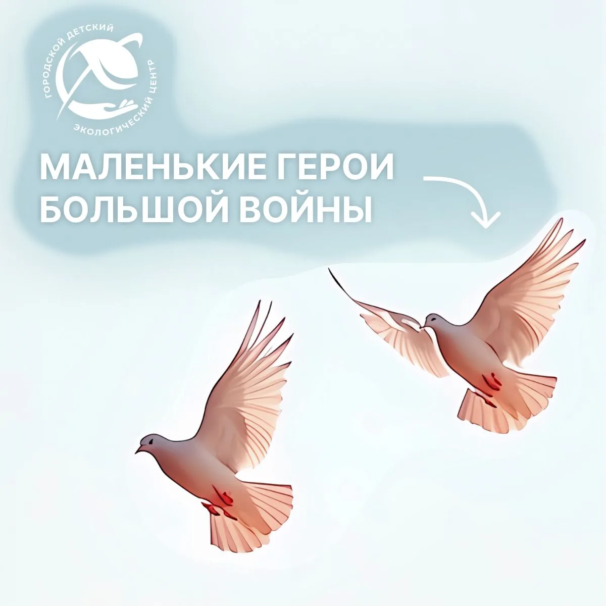 🕊️ О героях мы помним всегда!