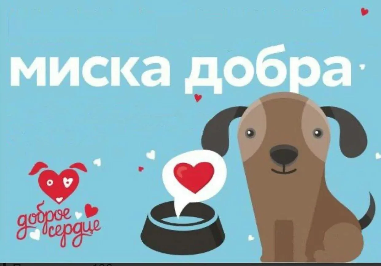 Друзья, нам очень нужна ваша помощь! Наши пушистые друзья сейчас особенно ждут тепла и ...