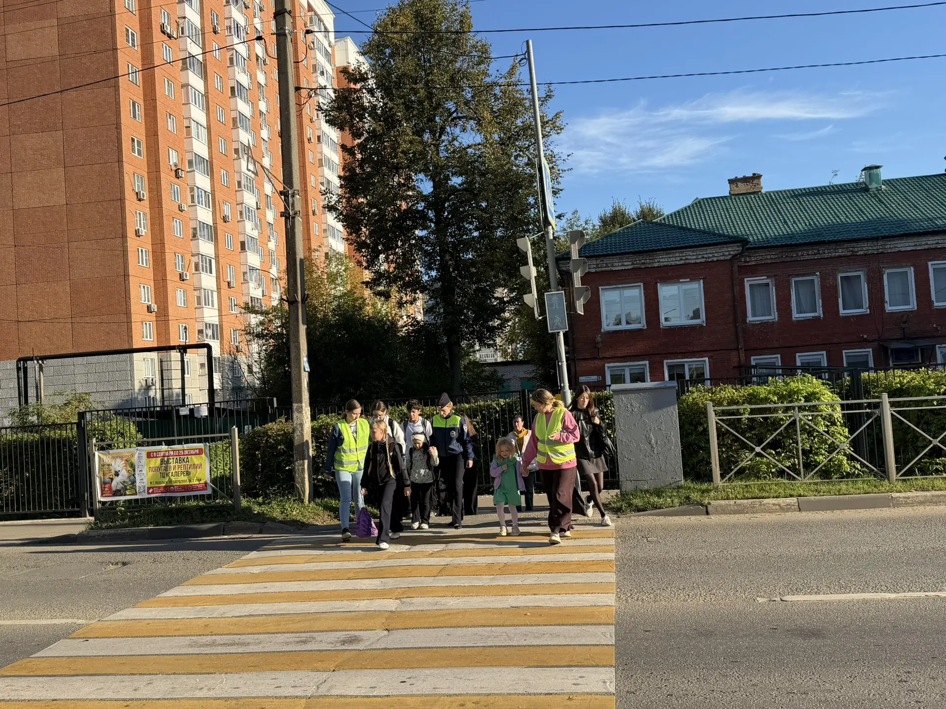 🚦✅ «Родительский патруль» помогает сделать дорогу в школу безопаснее!