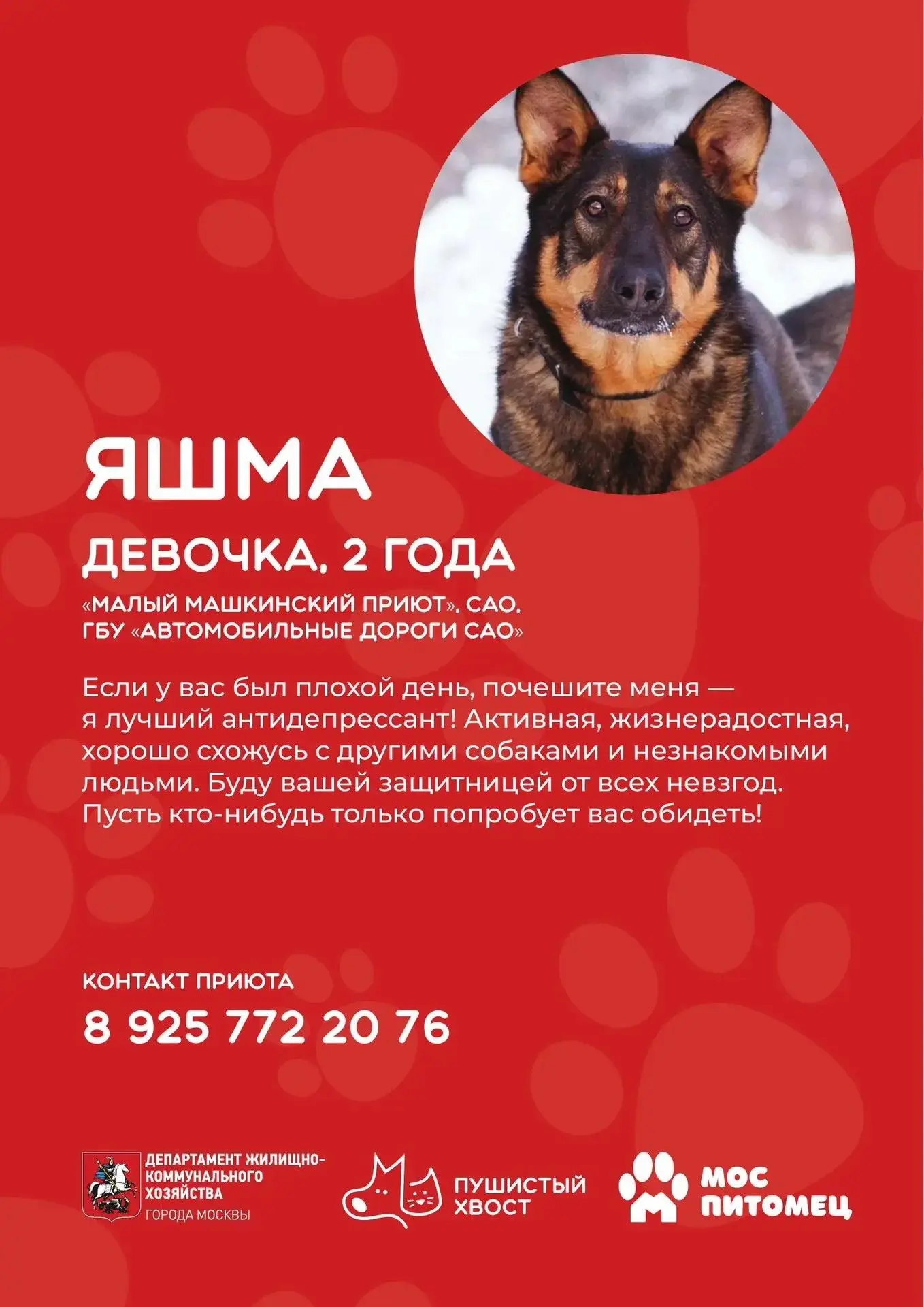🏠У каждого питомца своя история, но мечта одна – найти дом