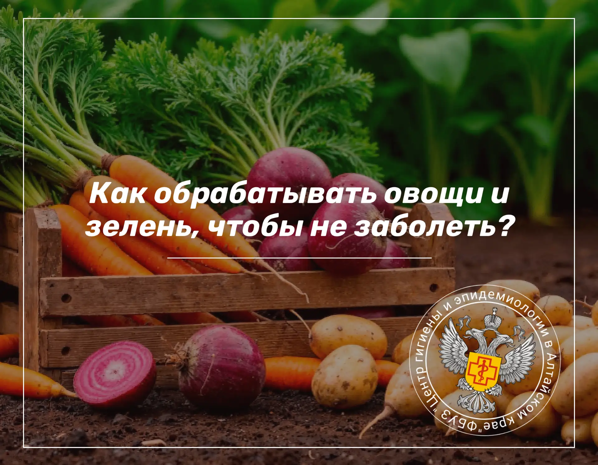 Общие правила обработки
Используйте чистую проточную воду, пригодную для питья. Если находитесь на п