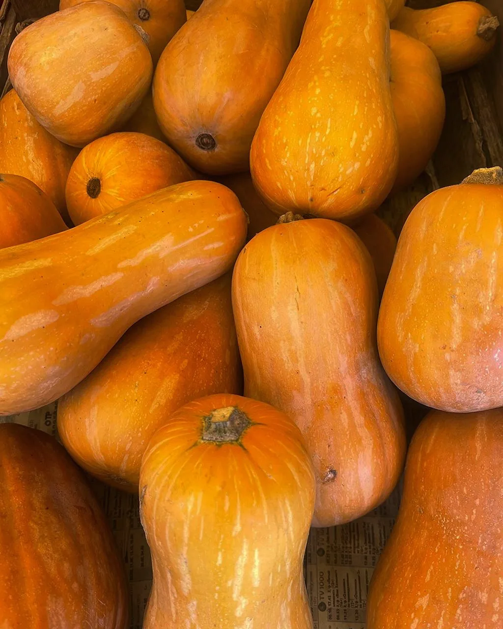 Вы знаете что такое батернат? Это вот эта ⬆️ тыква. 🎃