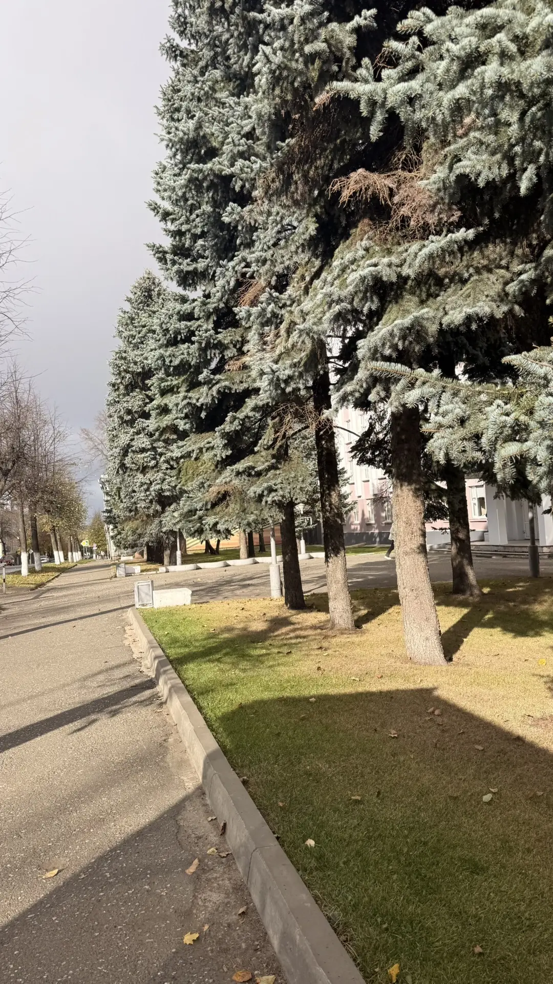 Отдохнуть не удалось, погнали по делам в Слободской