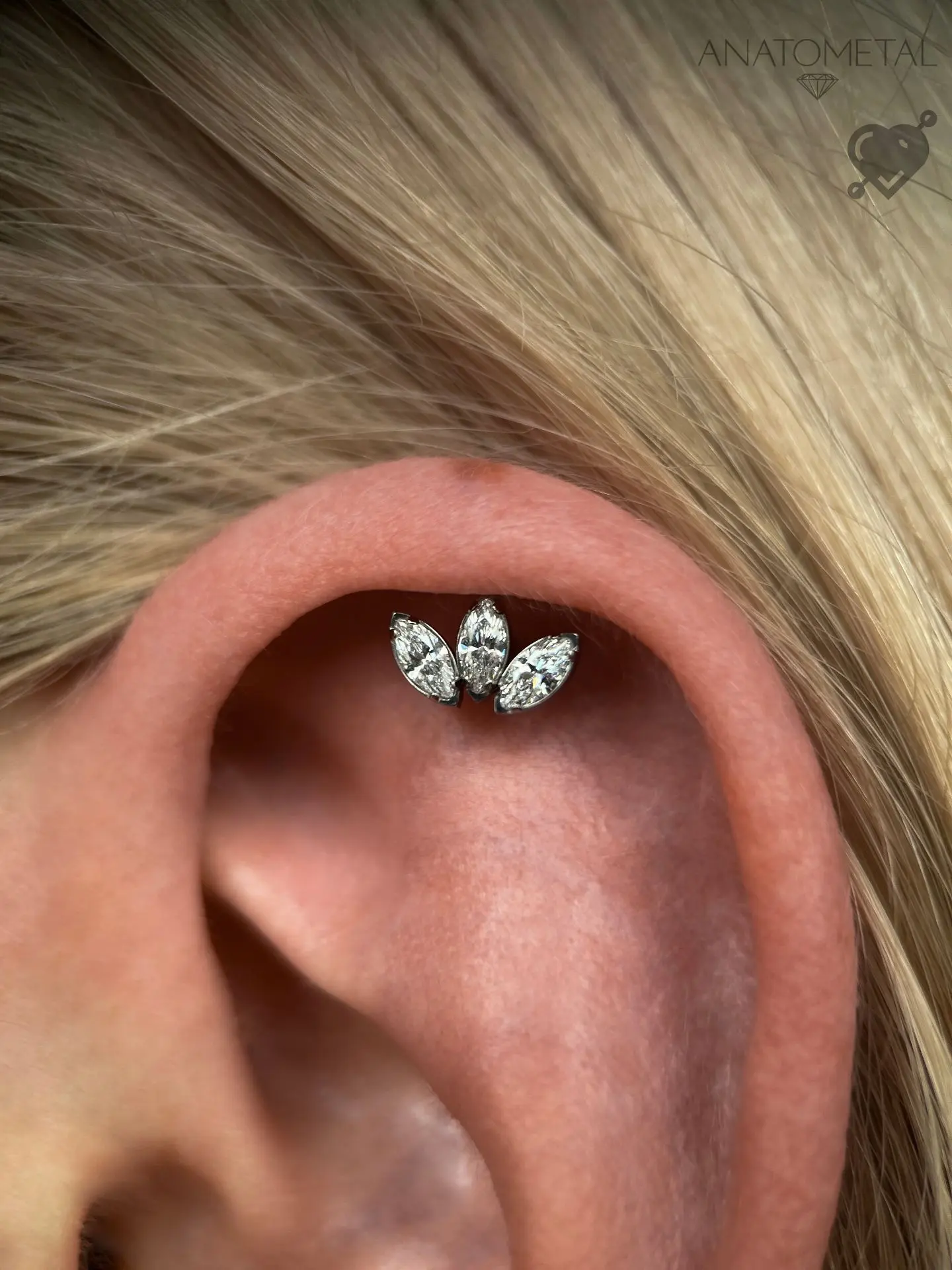 Нежный кластер Marquise Fan от американского бренда Anatometal в проколе флэт 🤍