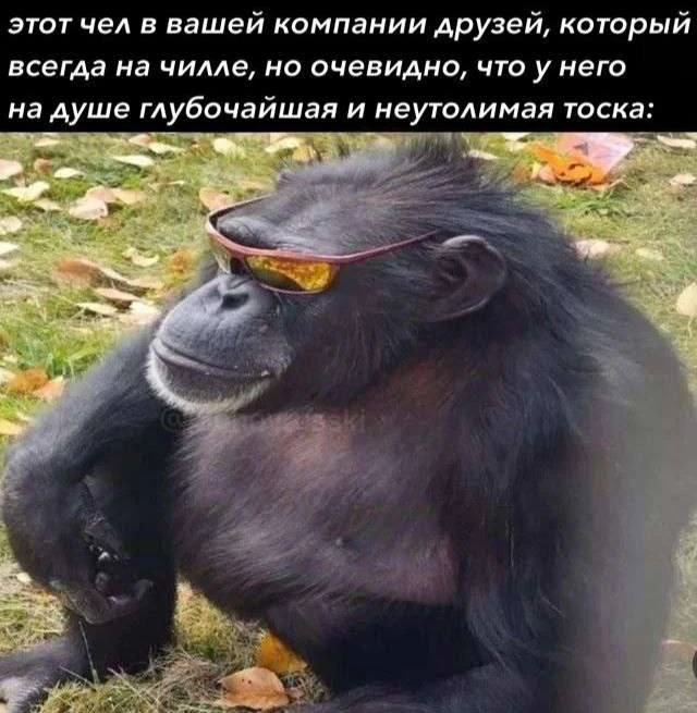 ПЕРВЫЙ МЕМНЫЙ